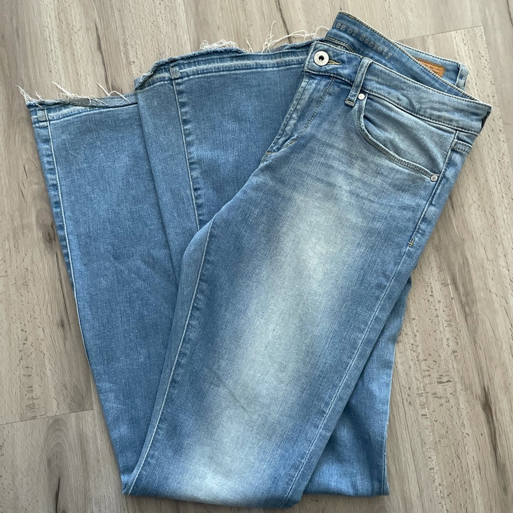 Articles of Society Flare Jeans